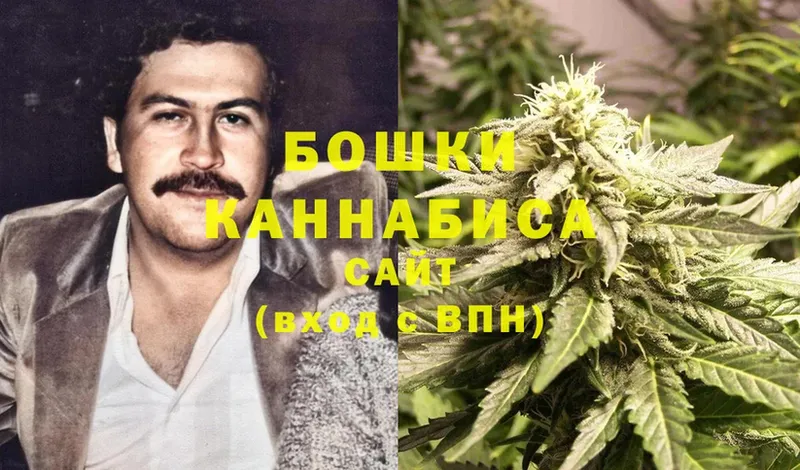 наркотики  Выборг  Канабис LSD WEED 